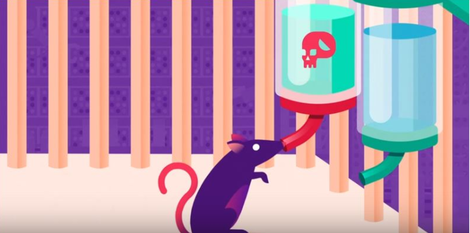 Pictured: A Rat With Nothing To Do Aside From Heroin. This Is Functionally Identical To Playing Anthem.